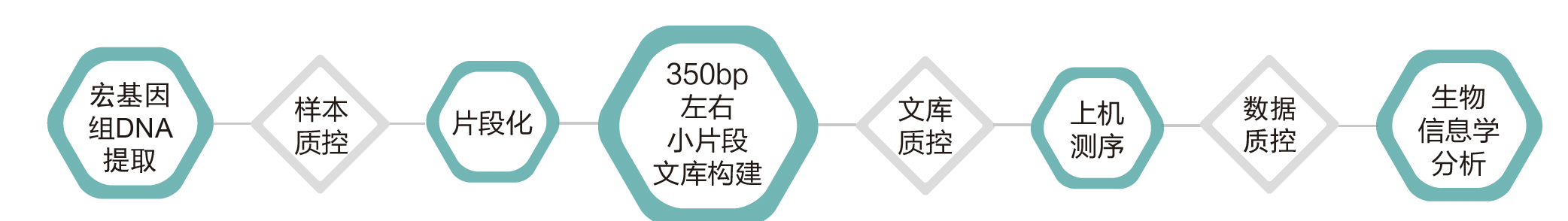宏基因组测序-技术路线-BJL(中国)基因 宏基因组测序-技术路线-BJL(中国)基因