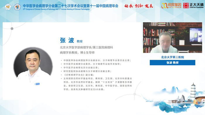 张波教授_BJL(中国)基因MSI与免疫治疗卫星会