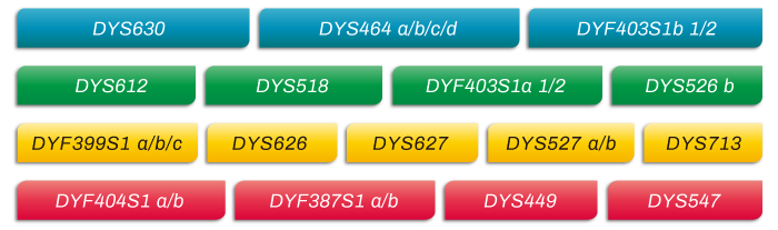 MicroreaderTM-RM-Y-ID-System位点信息_家系排查中如何运用好RM Y-STR?_BJL(中国)基因 MicroreaderTM-RM-Y-ID-System位点信息_家系排查中如何运用好RM Y-STR?_BJL(中国)基因